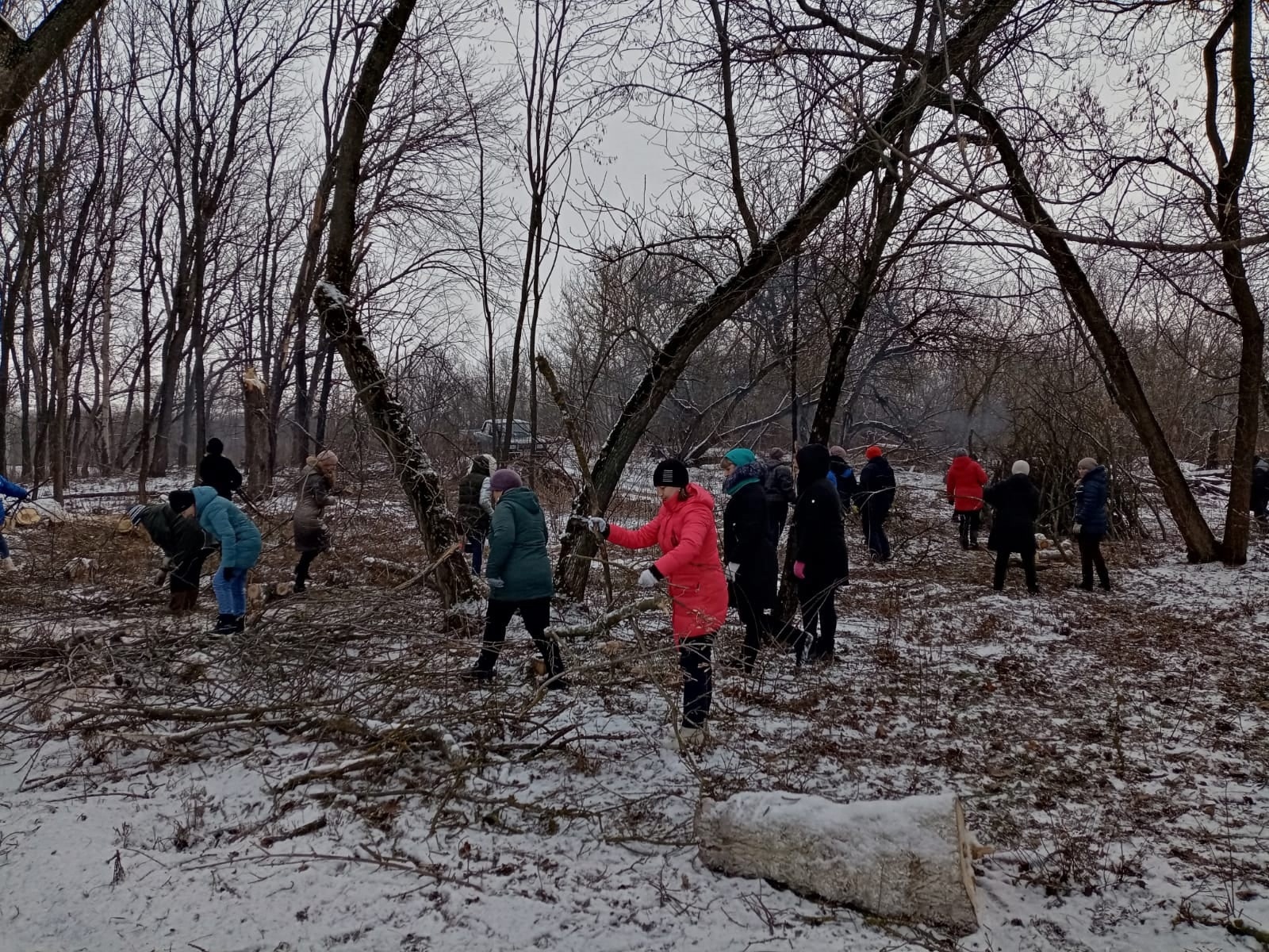 Состоялся экологический субботник по уборке лесной посадки.