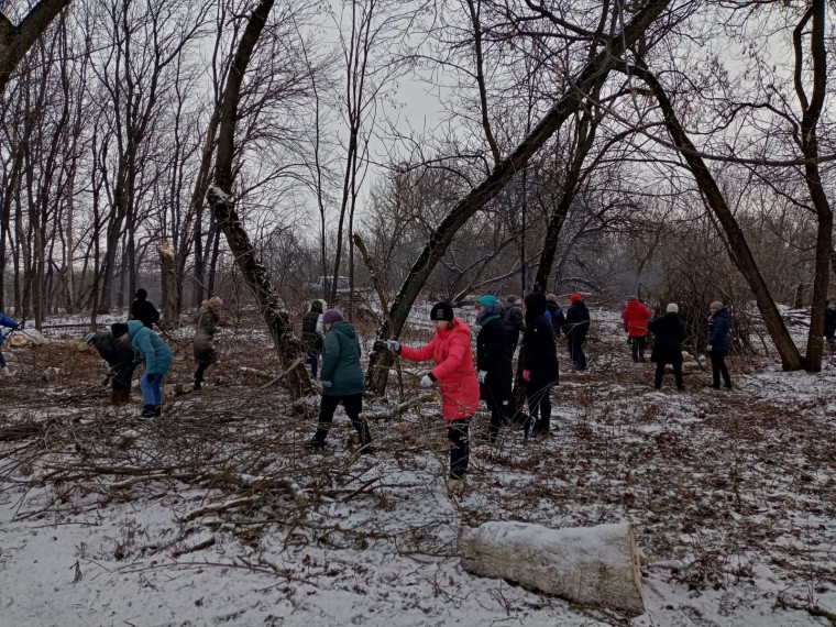 Состоялся экологический субботник по уборке лесной посадки. Состоялся экологический субботник по уборке лесной посадки.